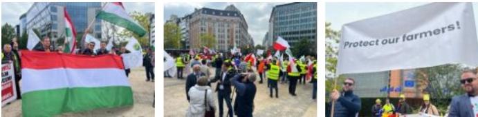 Gazdatüntetés Brüsszelben