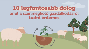 10 legfontosabb dolog, amit a szénmegkötő gazdálkodásról tudni érdemes