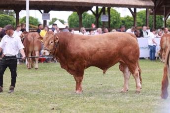 Növekedik az állattartók számára biztosított nemzeti támogatások forrása