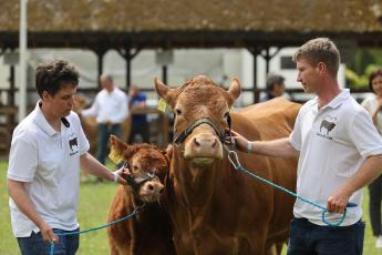 Adminisztrációs könnyítés az anyatehén tartás támogatáshoz