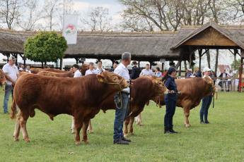 Felülvizsgálják a tenyésztési támogatások rendszerét