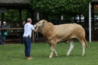 KAP KÖZLEMÉNY: A HÍZOTT BIKA ÁTMENETI NEMZETI TÁMOGATÁS FORINTBAN MEGÁLLAPÍTOTT 2023. ÉVI KERETÖSSZEGÉRŐL ÉS A BÁZISJOGOSULTSÁGONKÉNT KIFIZETHETŐ MAXIMÁLIS ÖSSZEG MÉRTÉKÉRŐL