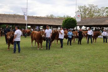 Együtt dolgoznak egy fenntarthatóbb európai húsmarhaágazatért