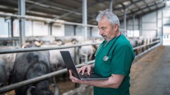 Újra elérhető az egyes állatbetegségek megelőzésére és leküzdésére szolgáló támogatás