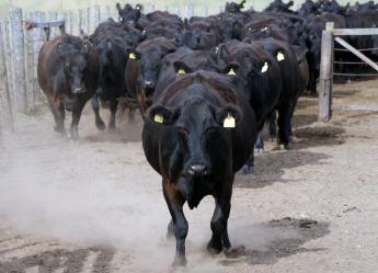 Legyél figyelmes, felkészült és tisztelettudó – szólítanak fel a táblák Anglia-szerte