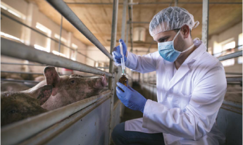 Az egyetlen járható út a hosszan tartó egészségért