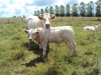 Változott az adatszolgáltatási kötelezettség határideje