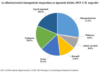 Támogatások; 2019. első félévi összegzés