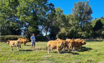 Csökken az EU állatállománya