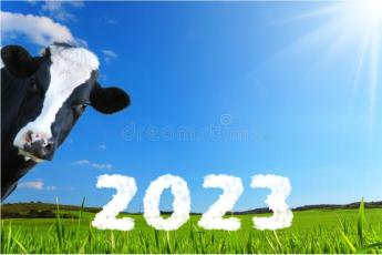 A nehézségek és kockázatok ellenére reményekkel vágjunk neki az új évnek