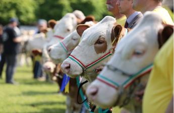 Változások az egységes kérelem benyújtási felületén