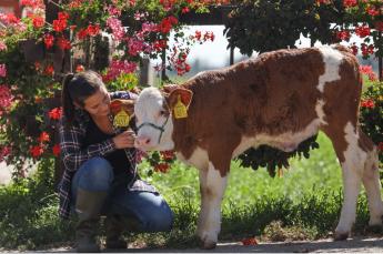 TERMŐFÖLDTŐL AZ ASZTALIG: SZÜKSÉG VAN ÁLLATTENYÉSZTÉSRE