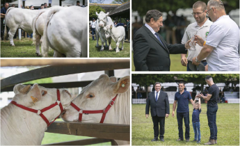 Új utakon a magyar charolais tenyésztése