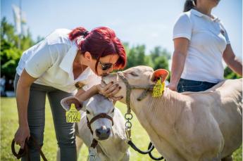 El kell oszlatnunk a zöld ködöt