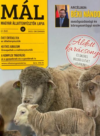 Örüljünk, mert túléltük ezt az évet!