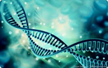 EU GMO rendelet felülvizsgálatát kéri 14 tagállam