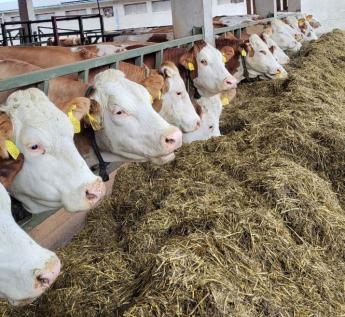 2023-as Egységes Kérelmek beadása: Mire készüljünk?