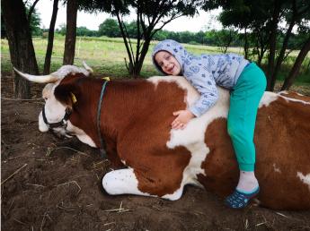 Generációváltás kérdőív 2021