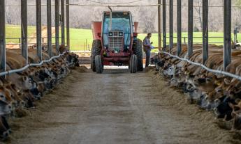 Kincstári közleményt adtak ki az aktív mezőgazdasági termelői minőség megállapításáról
