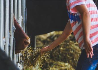 Az Európai Unió takarmánytermelése