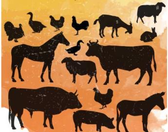 Lesz OMÉK - október 20-22. között tartják