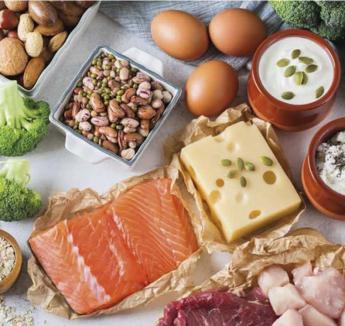 Veszélybe kerül az élelmezésbiztonság, ha korlátozzuk az állati eredetű táplálékok fogyasztását