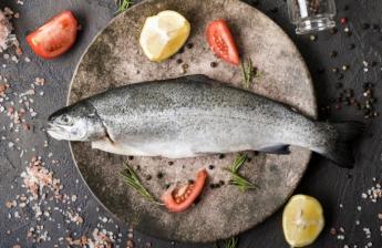 Jobb évre számítanak a haltermelők