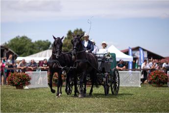 Sikeres lovasprogramok Debrecenben