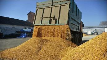 VALÓBAN TÖNKRETESZI A MAGYAR GABONAPIACOT AZ UKRÁN IMPORT? - KÖRBEJÁRTUK A KÉRDÉST