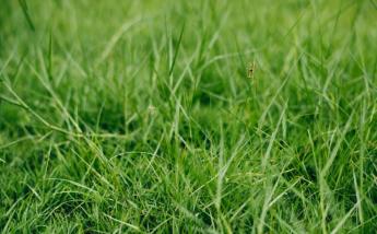 GYEPSTRATÉGIA: ELINDULT A SZAKMAI EGYEZTETÉS