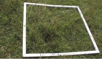 Ezeket a gyakorlati információkat nyújtja a gyepek részletes botanikai vizsgálata