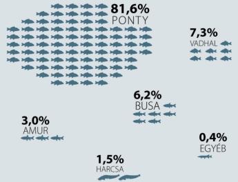 Elérhető a 2022. évi Lehalászás jelentés