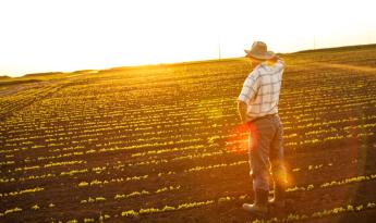 Földügyi szabályokat is változtat a most kihirdetett törvény