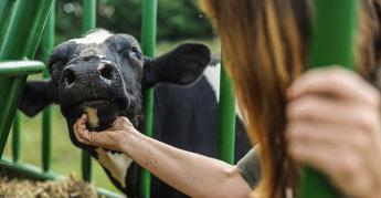 Nehéz évet zárnak a tejtermelők