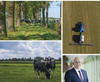 A nitrát-kibocsátás csökkentése: lehetetlen küldetés Hollandiában?