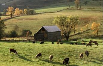 Az AM ismeri a gazdák problémáit, amikkel közösen meg tudunk küzdeni