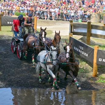Négyesfogathajtó VB: új mércét állítottak fel Szilvásváradon