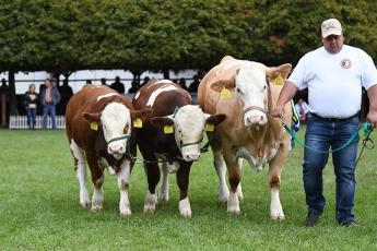 Fordulóponthoz érkezett az idén 50 éves hazai húsmarha ágazat