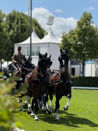 Fiatal fogathajtó a dobogó harmadik fokán