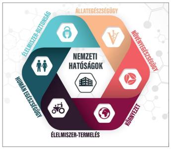 FAO infografika jelent meg az antibiotikumok felelősségteljes használatáról