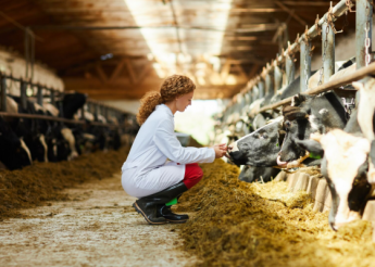 Fontos lépések az antibiotikumok okszerű használatára