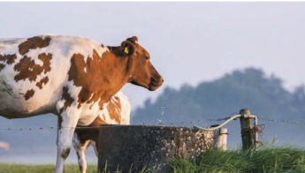 Állattenyésztés: Harmóniában a környezettel