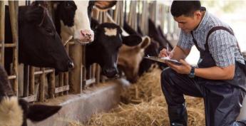 MINDEN, AMIT AZ IDEI ÁLLATALAPÚ TÁMOGATÁSOKRÓL TUDNI LEHET