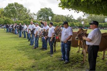KÉSZÜLÜNK A KIÁLLÍTÁSOKRA