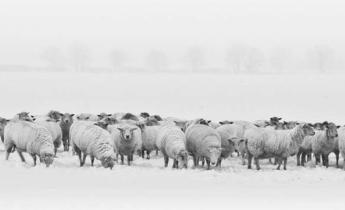 Stabil alapokon, jubileumi év küszöbén
