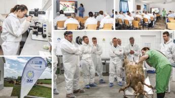 Juhágazati bemutatóprogram az Állatorvostudományi Egyetemen