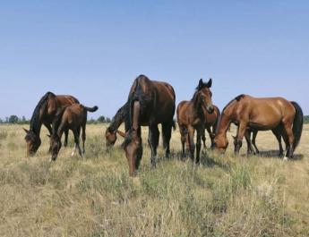 JÓ A KANCA TÁMOGATÁS, DE AZ MÉG JOBB, HA IDŐBEN KIFIZETIK