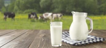 Nem az a legény, aki üt, hanem aki állja