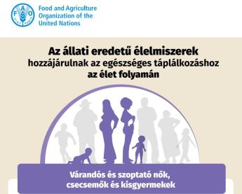 FAO infografika: Az állati eredetű élelmiszerek szerepe a várandós és szoptató nők, a csecsemők és kisgyermekek táplálkozásában