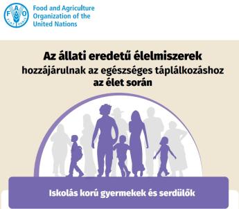 FAO infografika: Az állati eredetű élelmiszerek szerepe az iskoláskorú gyerekek és serdülők táplálkozásában